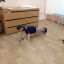 Муниципальный этап Всероссийских спортивных соревнований школьников &laquo;Президентские состязания&raquo; в 2025-2026 году 4