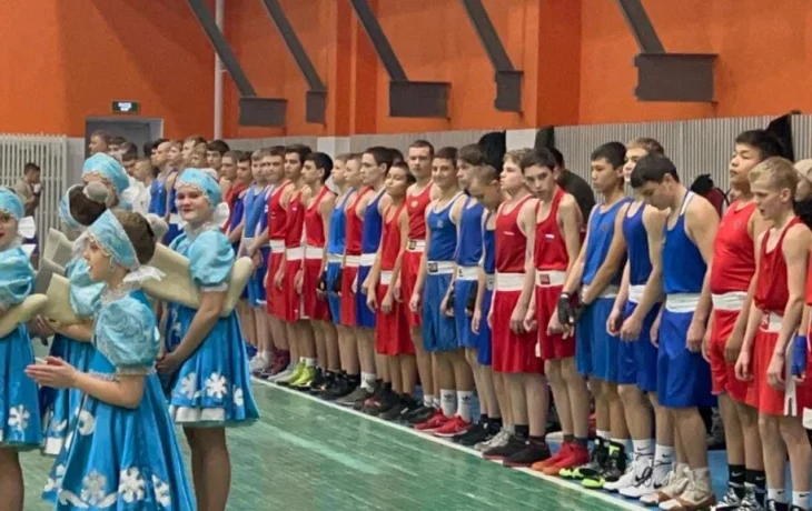 XXIX открытый Краевой турнир по боксу  &laquo;Новогодний приз&raquo;