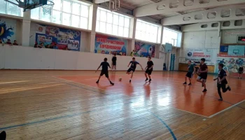Соревнования муниципального этапа среди команд юношей общеобразовательных школ Рыбинского района