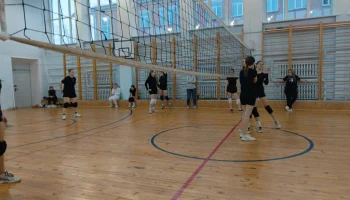 Товарищеский матч по волейболу
