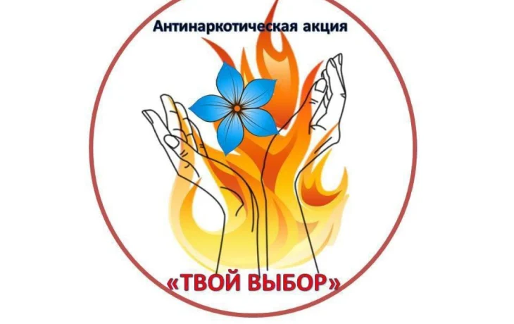 В Красноярском крае начался конкурс «Сделай выбор» В Красноярском крае начался конкурс «Сделай выбор»