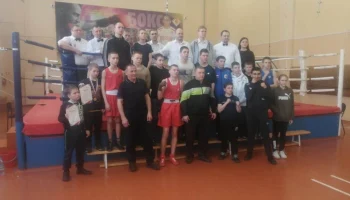 Открытое первенство города Зеленогорска по боксу,  посвящённое Международному дню спорта на благо развития и мира