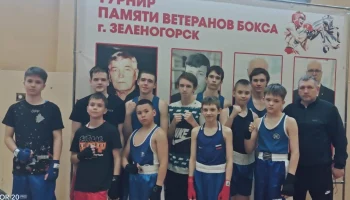 Открытое Первенство города по боксу памяти ветеранов бокса города Зеленогорск  среди юношей и девушек 2011-2012г.р., 2013-2014г.р.