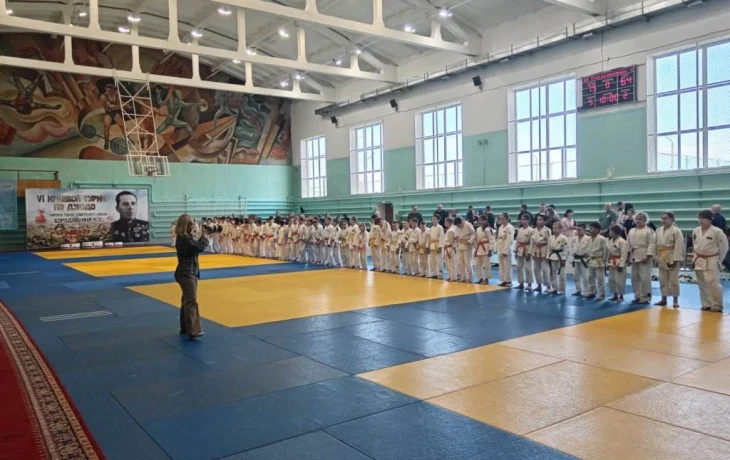 VI краевой турнир по дзюдо  памяти Героя Советского Союза Бородавкина И.С. (2012-2013г.р., 2014-2015г.р.)